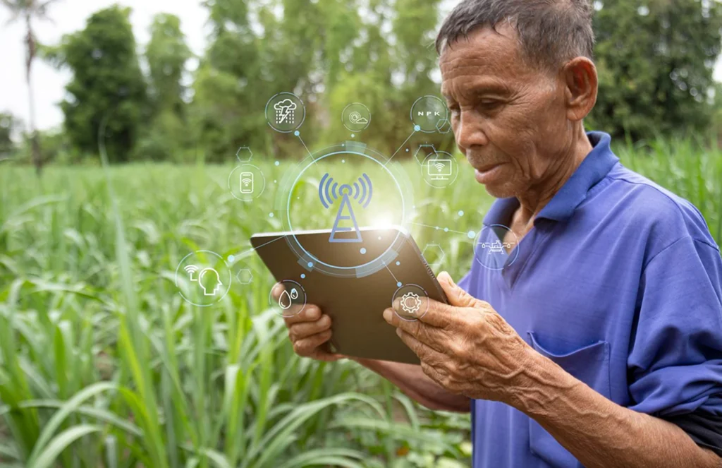 Imagen de apoyo de la etapa del proyecto Bioeconomía Tarapacá