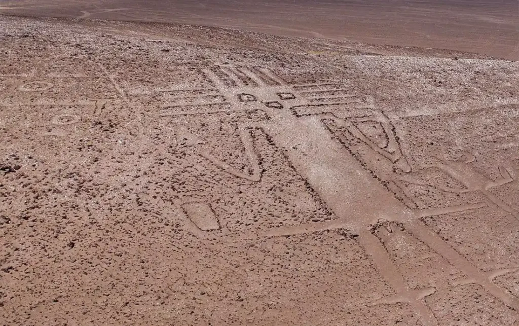 Imagen representativa del impacto del proyecto Bioeconomía Tarapacá