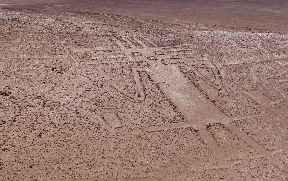 Imagen representativa del impacto del proyecto Bioeconomía Tarapacá
