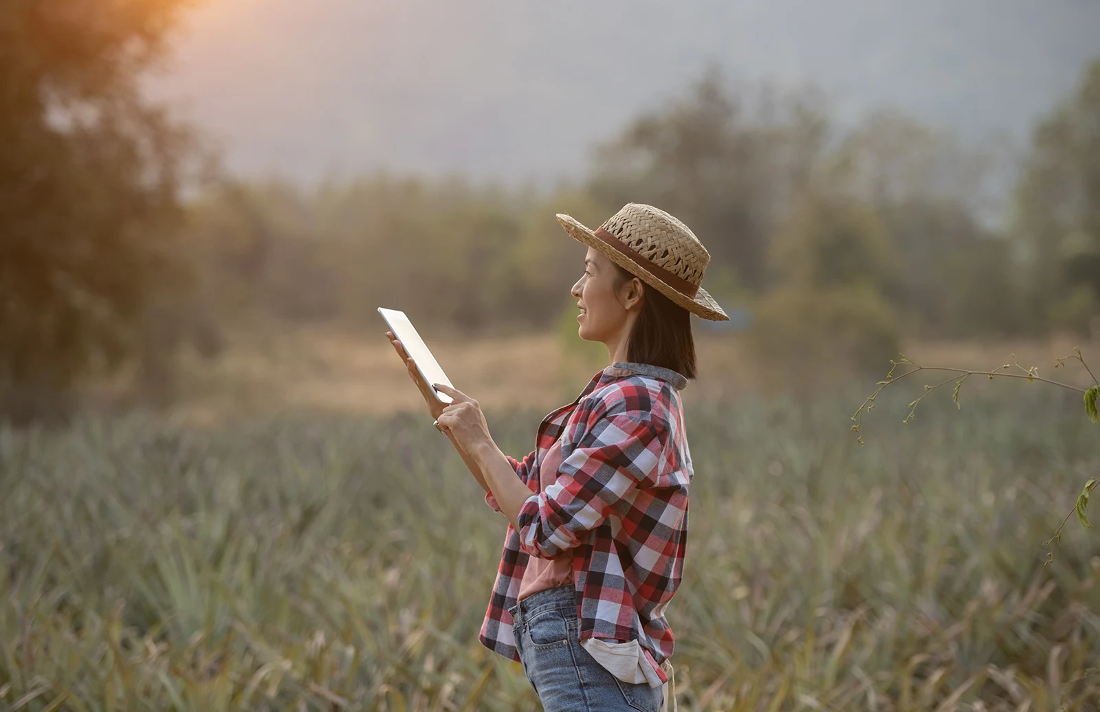 Imagen vinculada a las etapas del proyecto Bioeconomía Tarapacá, asociada a planificación, innovación y desarrollo territorial.