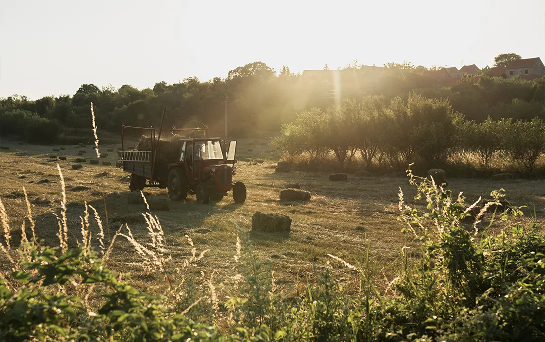 Imagen representativa del impacto del proyecto Bioeconomía Tarapacá en sostenibilidad, innovación y desarrollo territorial.