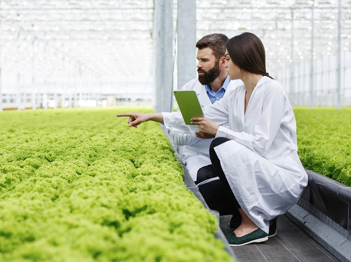 Imagen del proyecto Bioeconomía Tarapacá vinculada al desarrollo sostenible e innovación territorial en la Región de Tarapacá.