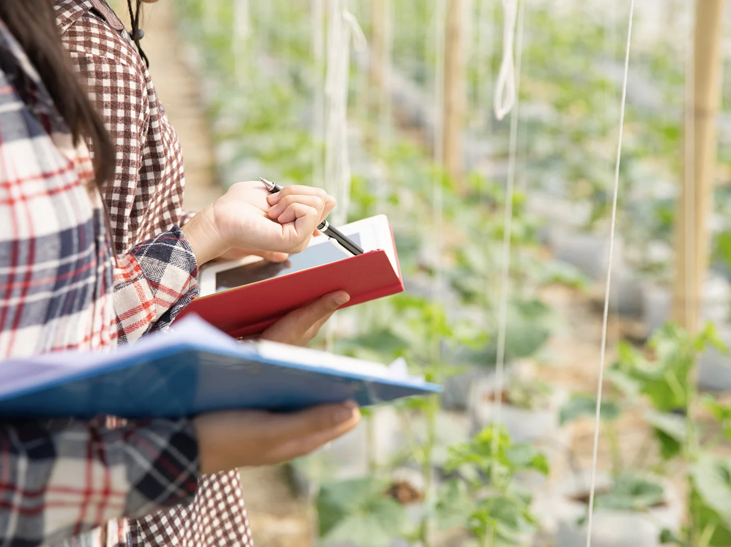 Fotografía del proyecto Bioeconomía Tarapacá relacionada con innovación sostenible y desarrollo territorial.