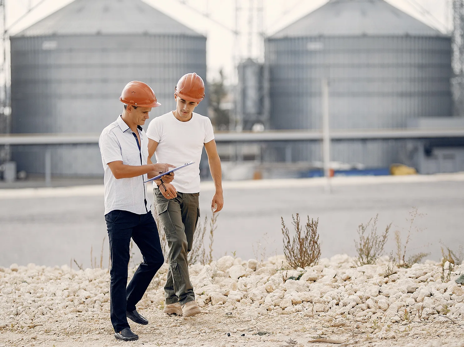 Imagen representativa del proyecto Bioeconomía Tarapacá con foco en desarrollo sostenible e innovación regional.