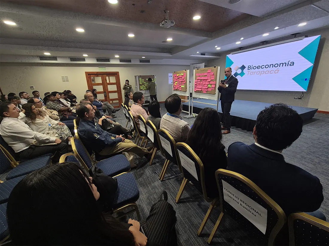 Bioeconomía Tarapacá reunión de coordinación con Consejo Regional para estrategia de desarrollo sostenible